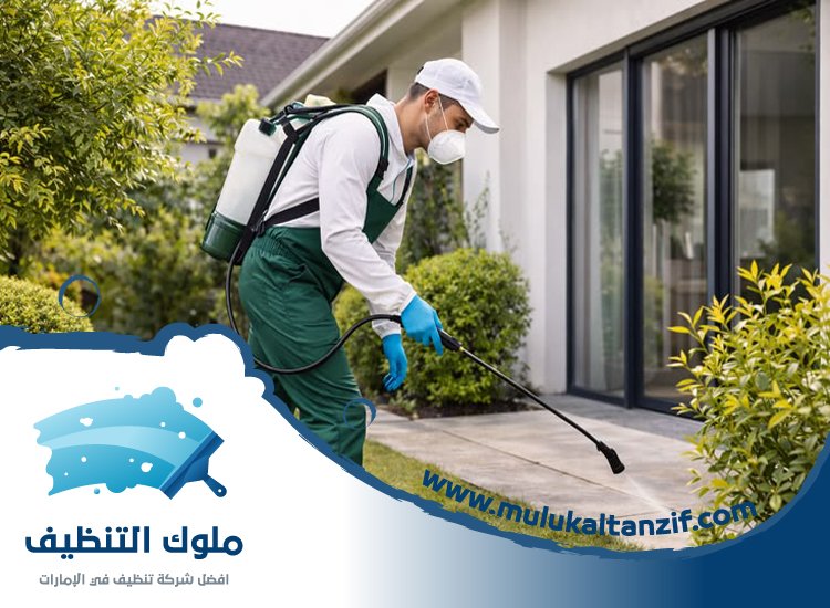 شركة مكافحة حشرات