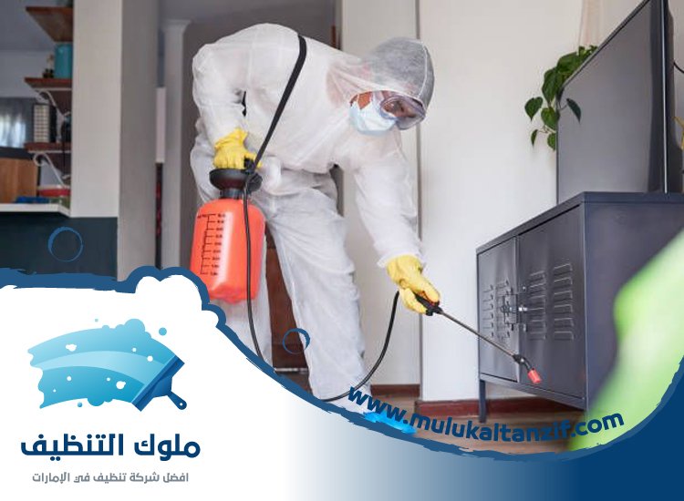 شركة مكافحة حشرات في السوق الكبير