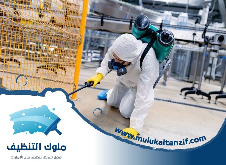 شركة مكافحة حشرات في السوق الكبير