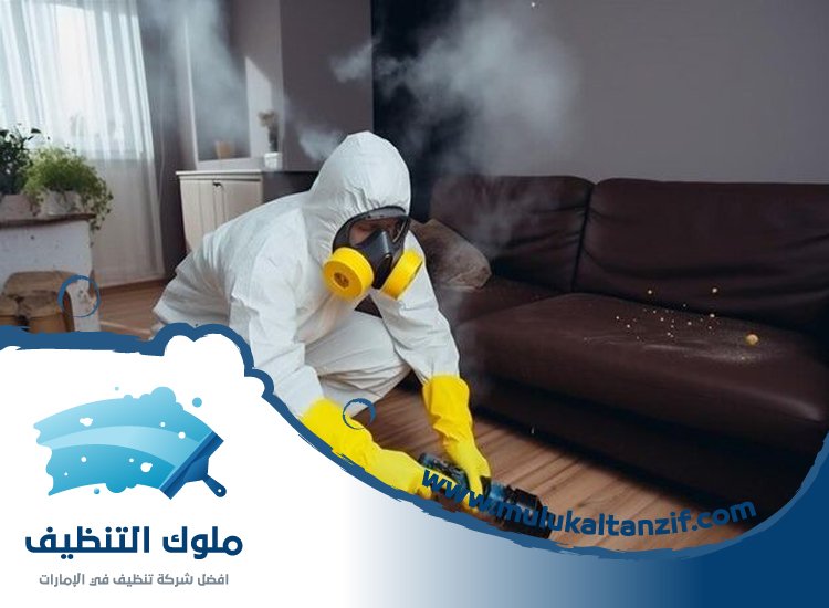 شركة مكافحة حشرات في الفرجان