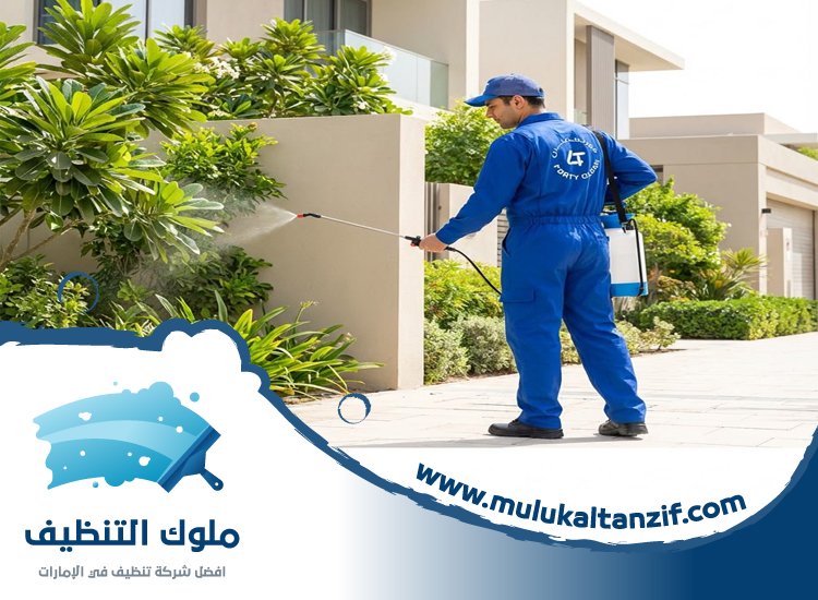 شركة مكافحة حشرات