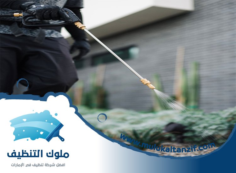 شركة مكافحة حشرات في قرية المنارة