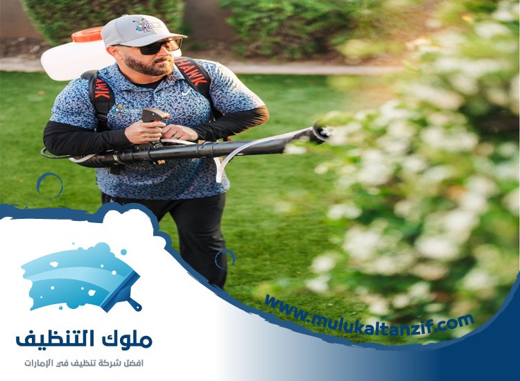 شركة مكافحة حشرات في مربح