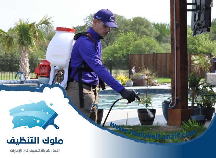 شركة مكافحة حشرات في الوصل