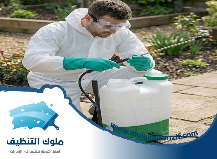 شركة مكافحة حشرات في دبا الفجيرة