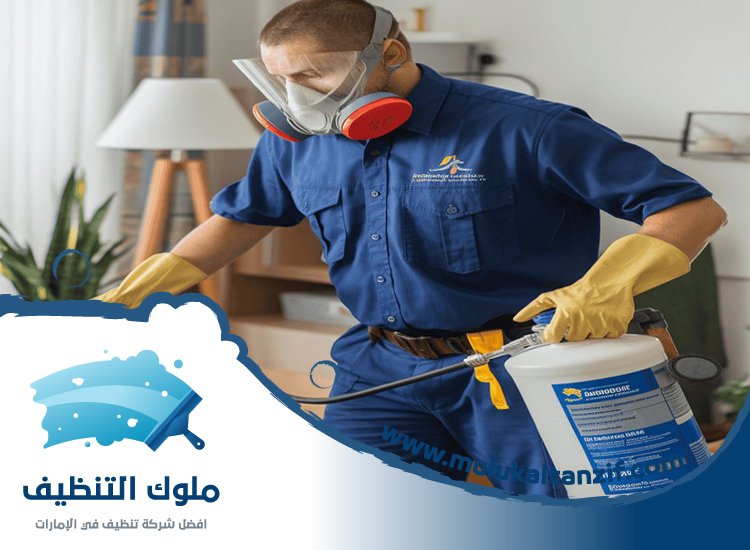 شركة مكافحة حشرات في مربح