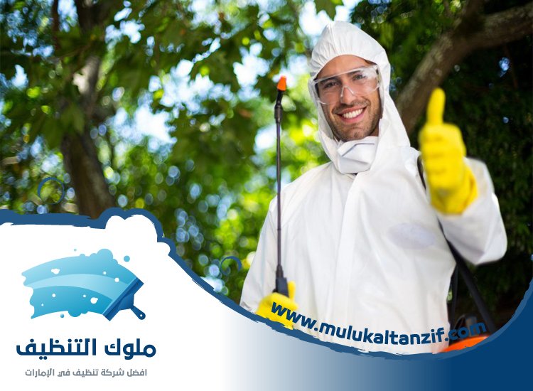 شركة مكافحة حشرات في دبا الفجيرة
