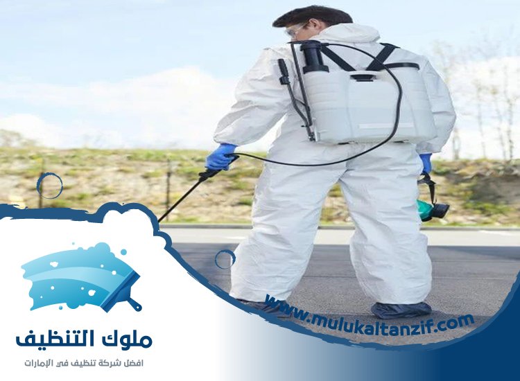 شركة مكافحة حشرات في أم سقيم