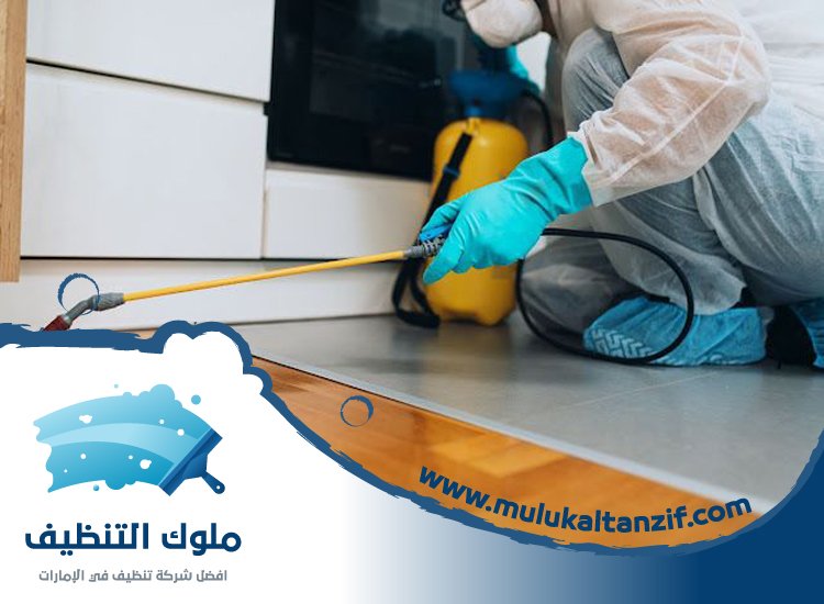 شركة مكافحة حشرات في مردف