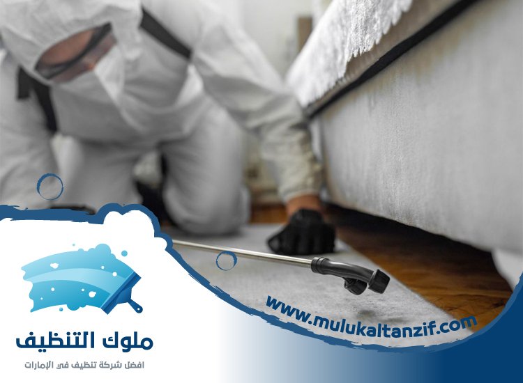 شركة مكافحة حشرات في أم سقيم
