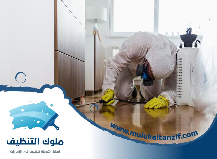 شركة مكافحة حشرات في داماك هيلز