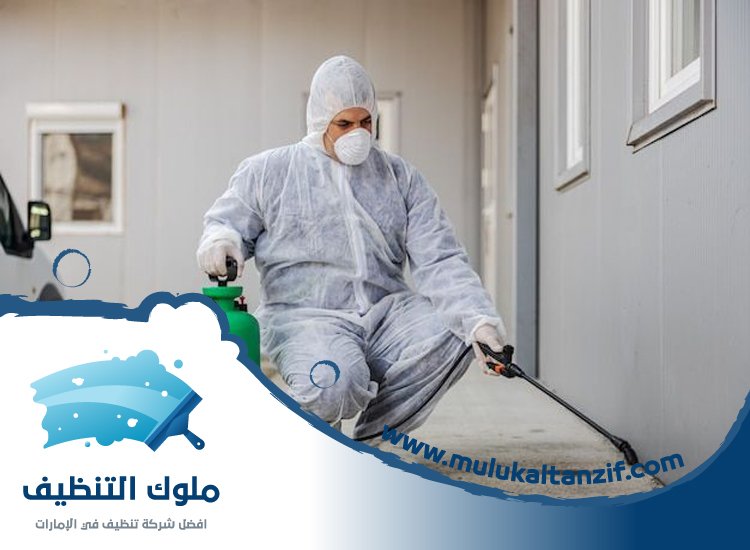 شركة مكافحة حشرات في مربح