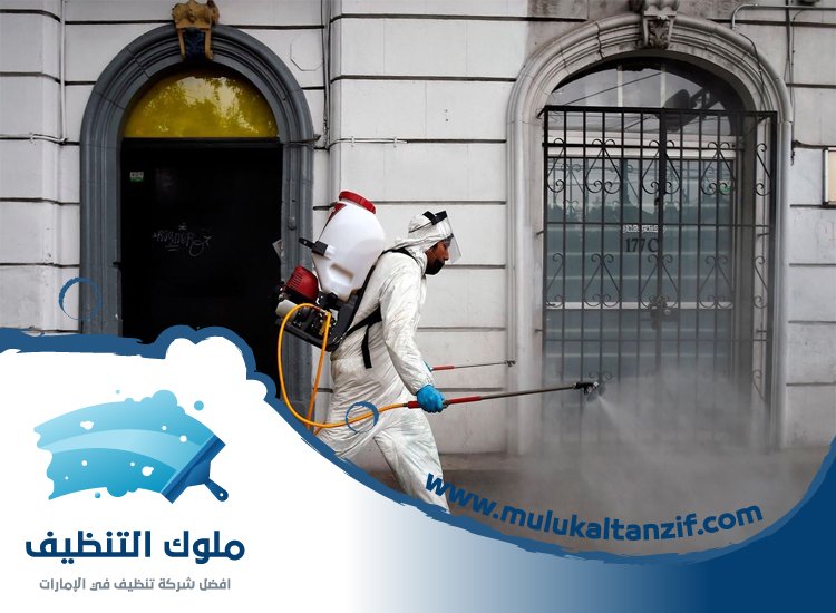شركة مكافحة حشرات