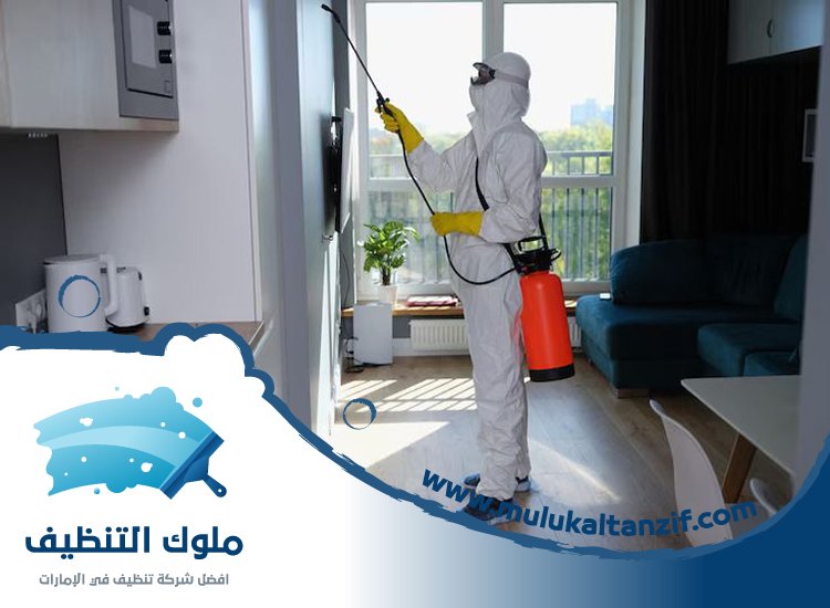 شركة مكافحة حشرات في السهول