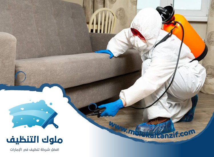 شركة مكافحة حشرات في السهول