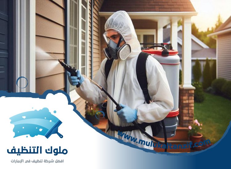 شركة مكافحة حشرات في القوز