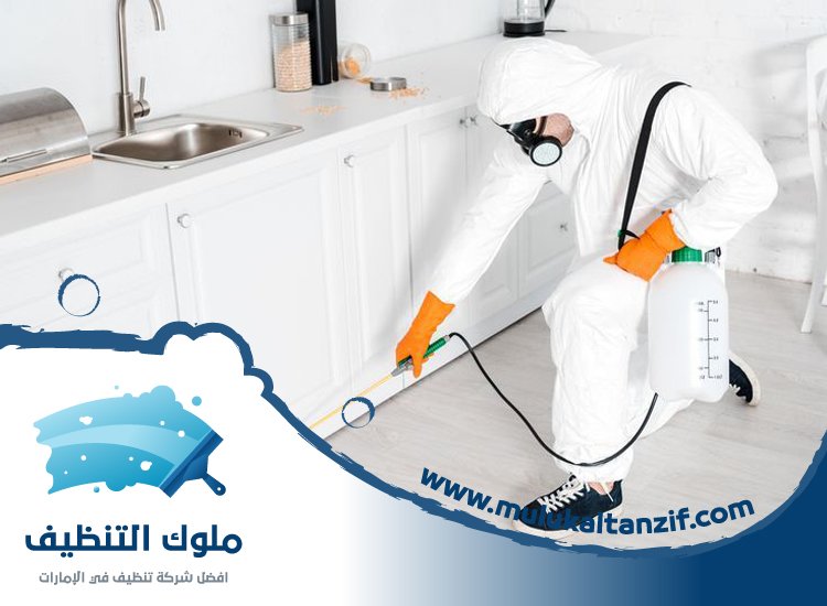 شركة مكافحة حشرات في القوز