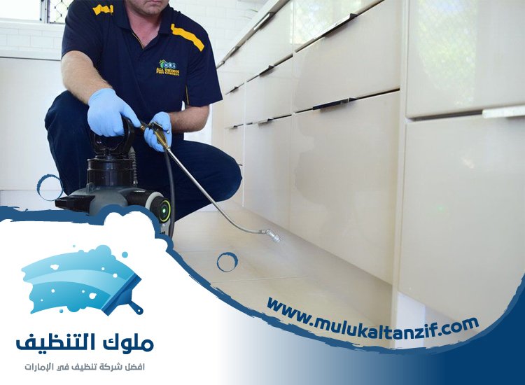 شركة مكافحة حشرات في قرية المنارة