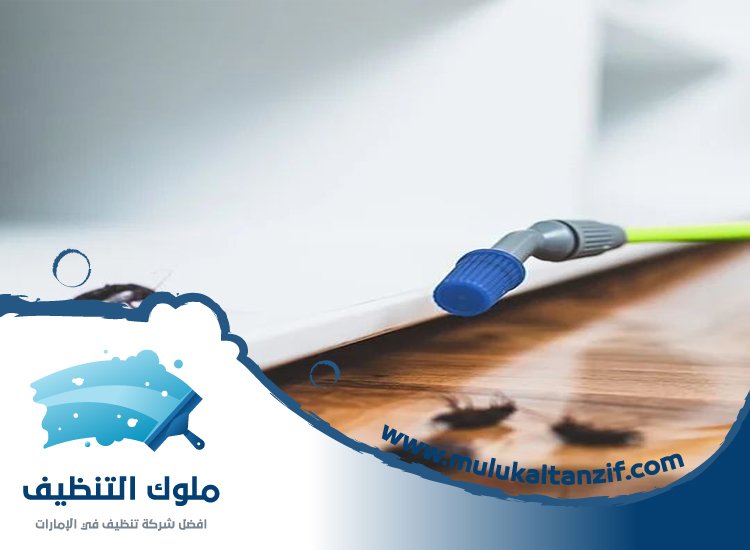 شركة مكافحة حشرات في ند الشبا