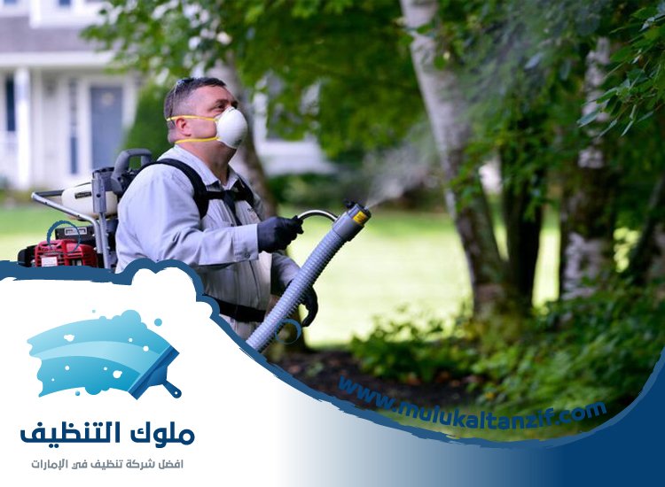 شركة مكافحة حشرات في ند الشبا