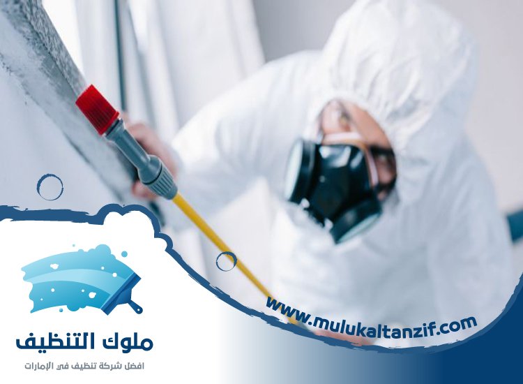 شركة مكافحة حشرات في ديرة