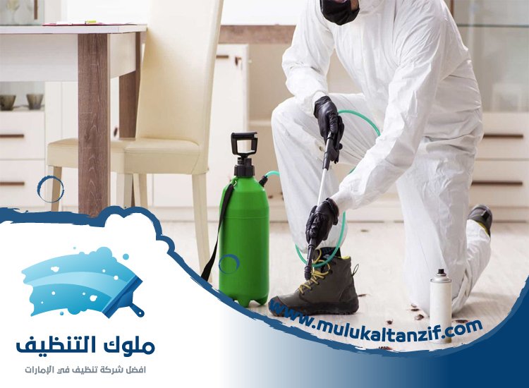 شركة مكافحة حشرات