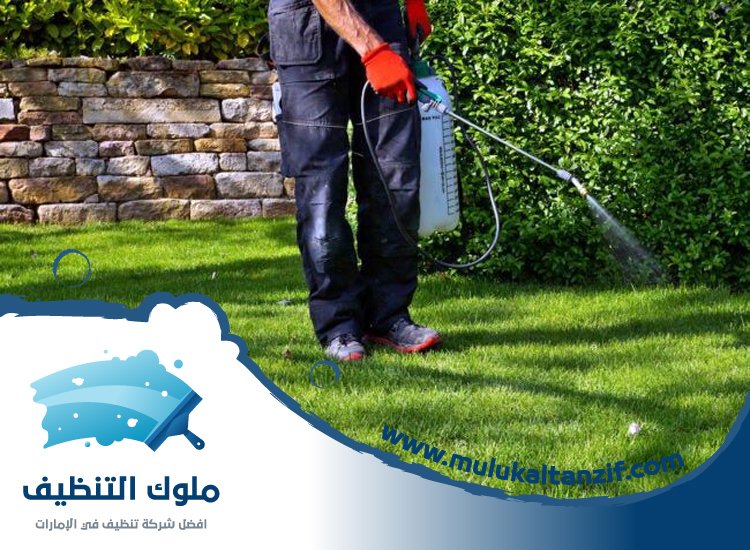 شركة مكافحة حشرات في قرية المنارة