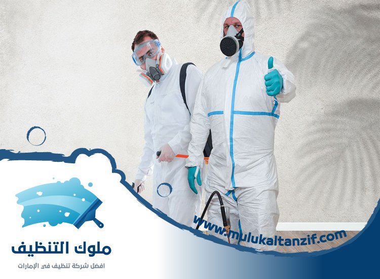 شركة مكافحة حشرات في القوز