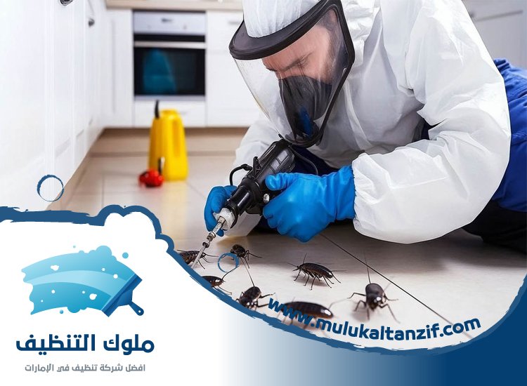 شركة مكافحة حشرات