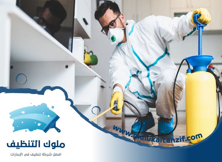 شركة مكافحة حشرات في هتان