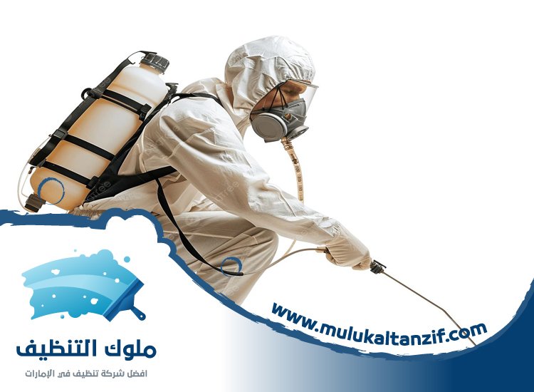شركة مكافحة حشرات في السهول