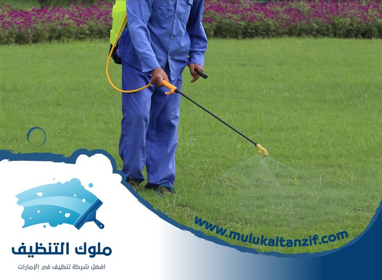 شركة مكافحة حشرات في ند الشبا
