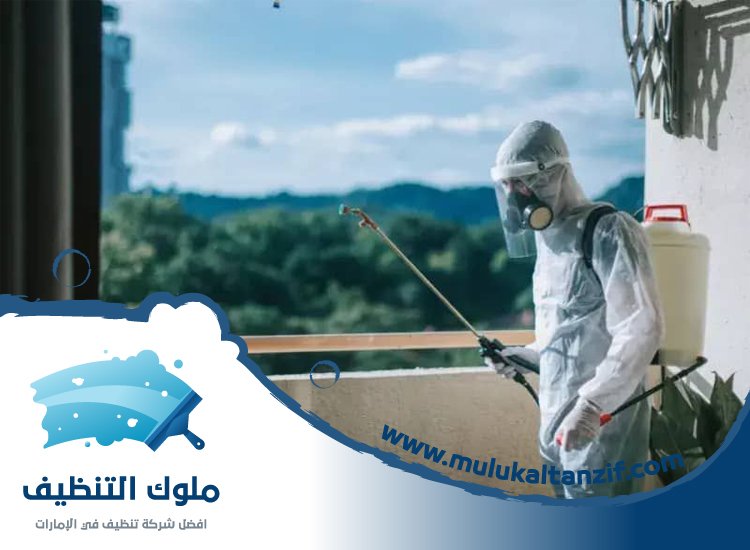 شركة مكافحة حشرات في رأس الخور