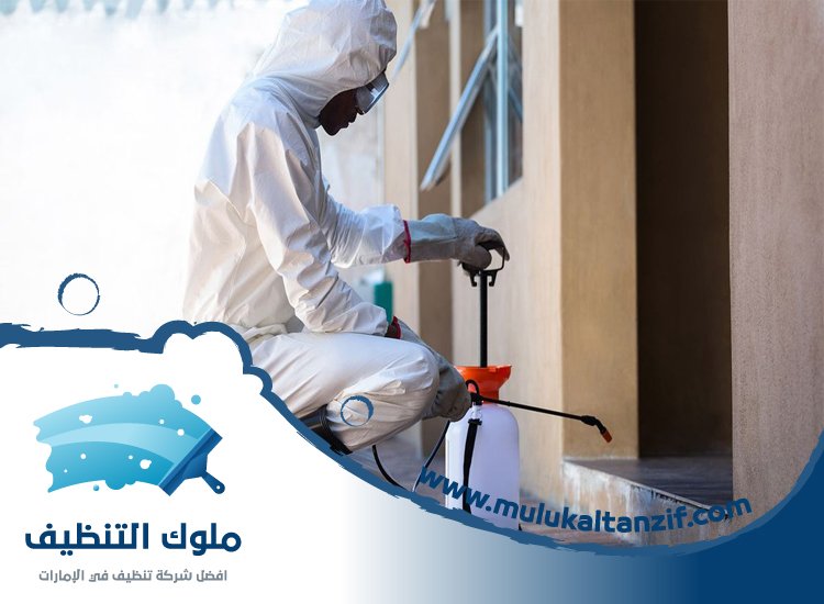 شركة مكافحة حشرات في مردف