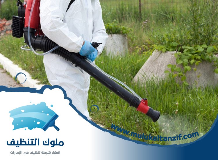 شركة مكافحة حشرات في ديزرت بالم