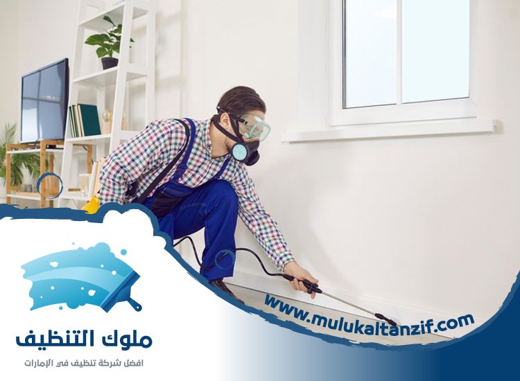 شركة مكافحة حشرات في مردف