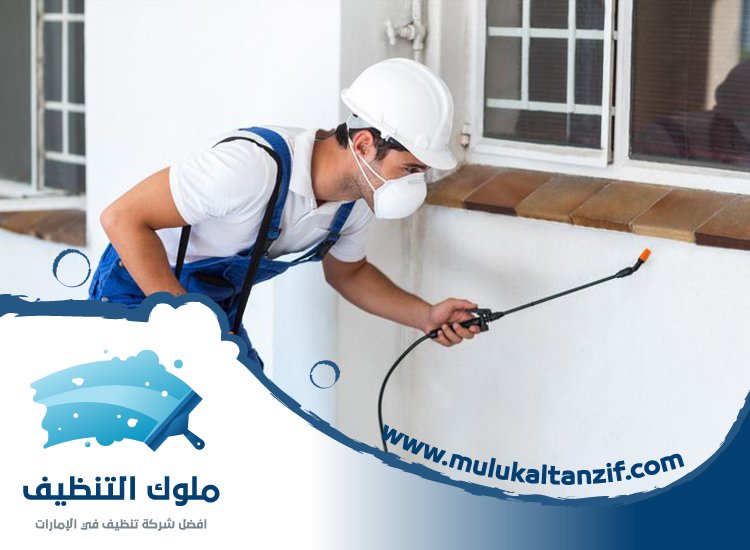 شركة مكافحة حشرات في دبا الفجيرة