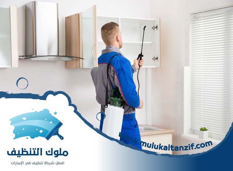 شركة مكافحة حشرات