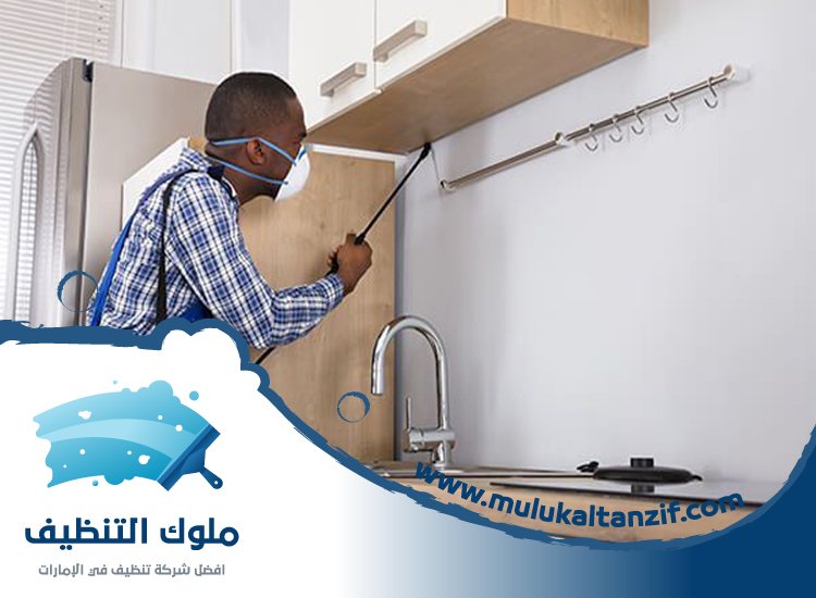 شركة مكافحة حشرات في ديزرت بالم