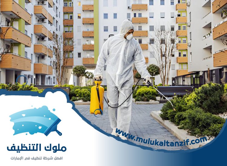 شركة مكافحة حشرات