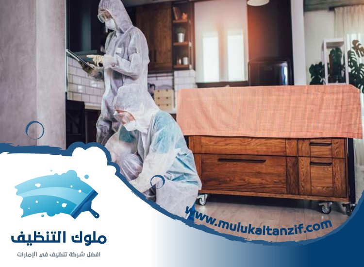 شركة مكافحة حشرات في محيصنة