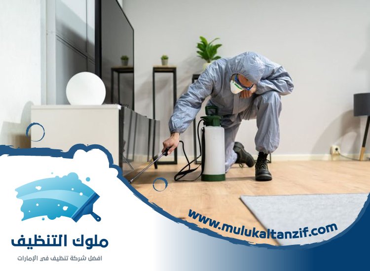 شركة مكافحة حشرات في ديرة