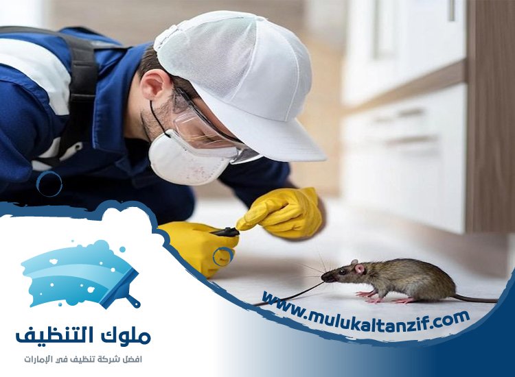 شركة مكافحة حشرات في هتان
