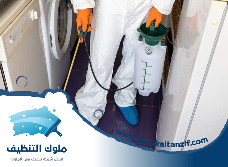 شركة مكافحة حشرات في زعبيل