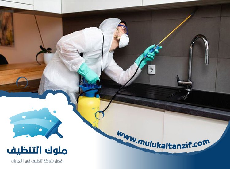 شركة مكافحة حشرات