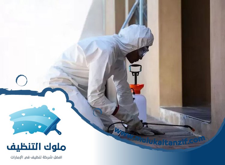 شركة مكافحة حشرات في رأس الخور