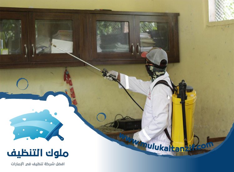 شركة مكافحة حشرات
