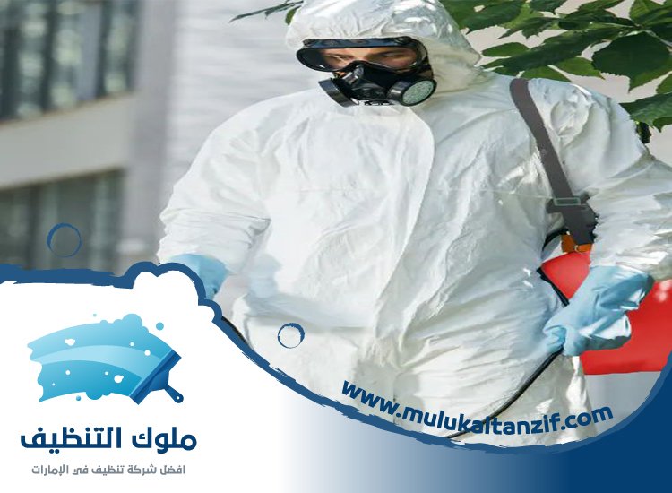 شركة مكافحة حشرات في ديزرت بالم