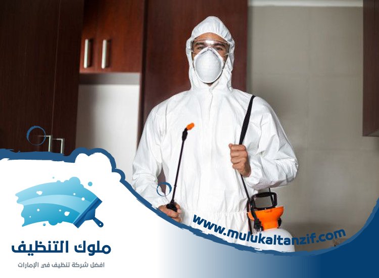 شركة مكافحة حشرات في رأس الخور