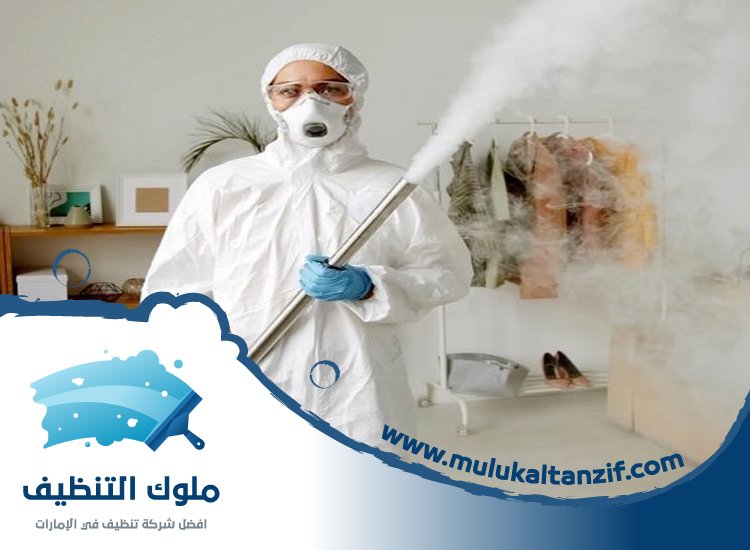 شركة مكافحة حشرات في زعبيل